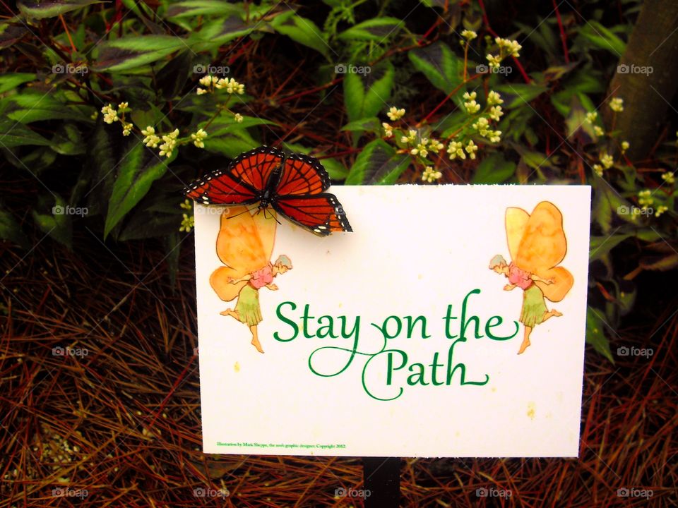Stay on the Path Butterfly