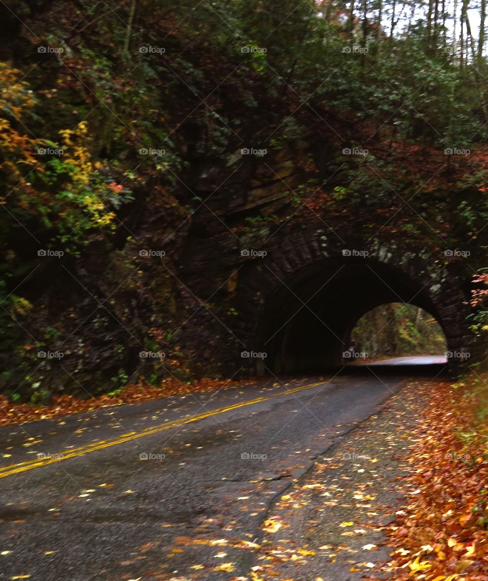 Road through fall colors with rock tunnel