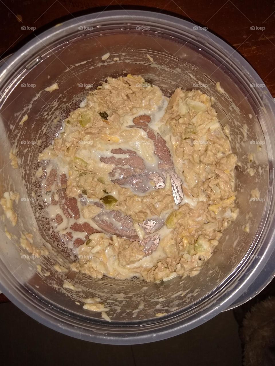 What's left of the Tuna Fish 🐟 in the bowl.