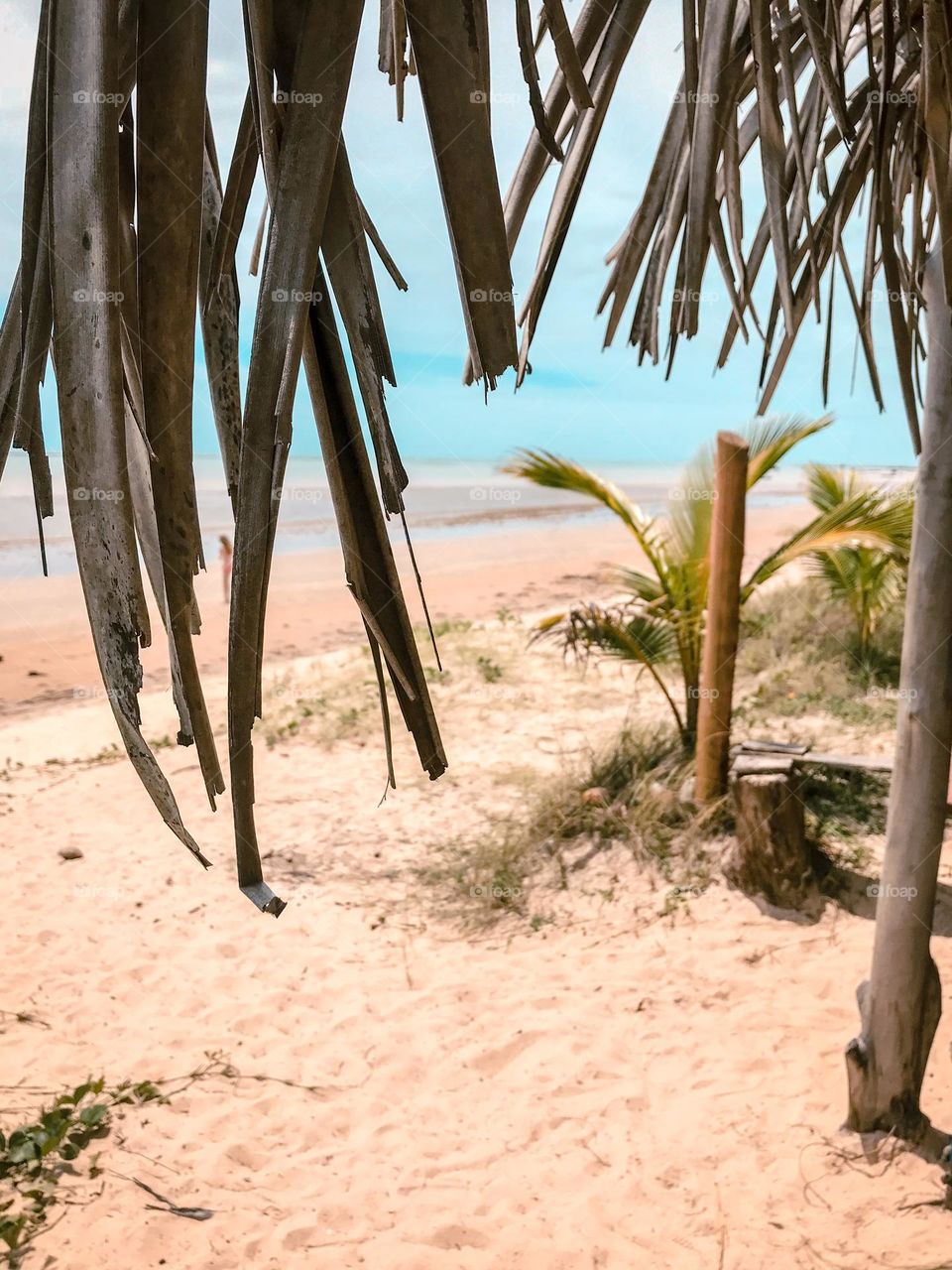 Praia de cumuruxatiba Bahia Brasil 