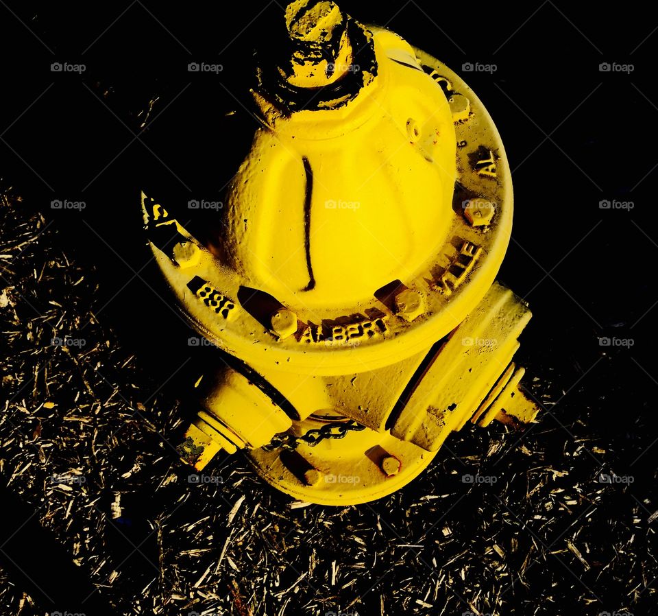 Yellow contrasted fire hydrant 