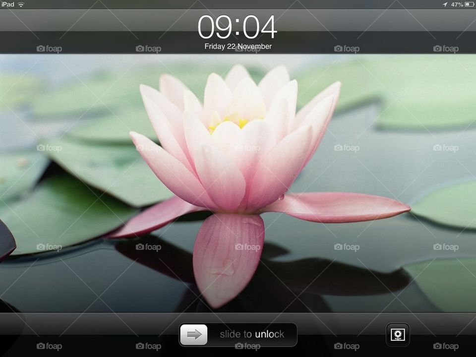 ipad lotus