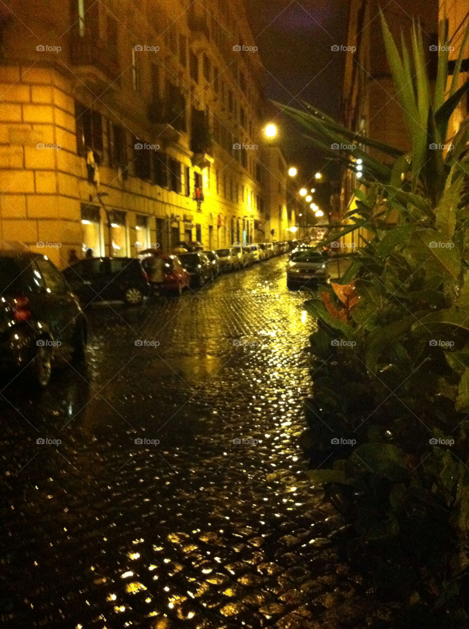 Rainy road. Rome, Italy
