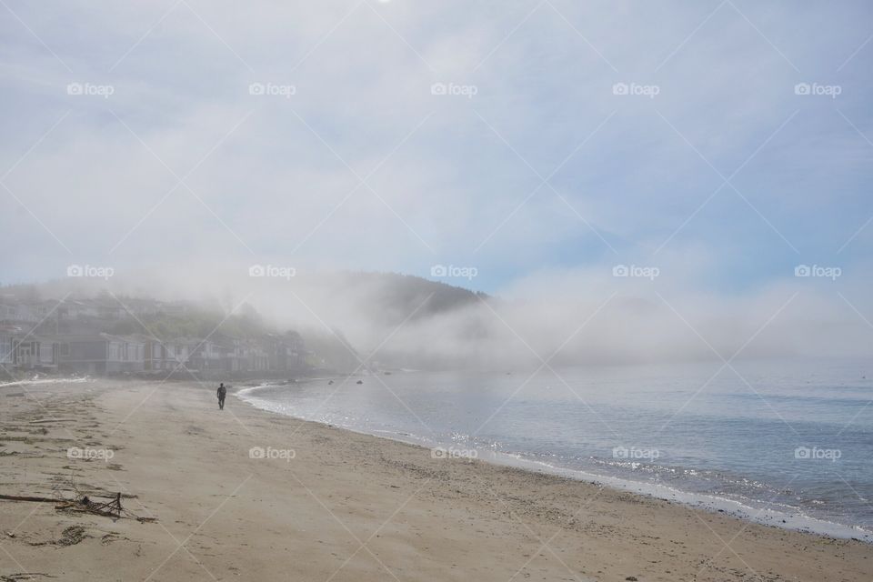 Morning fog at the beach