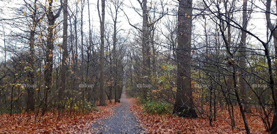parc du chateau lewarde