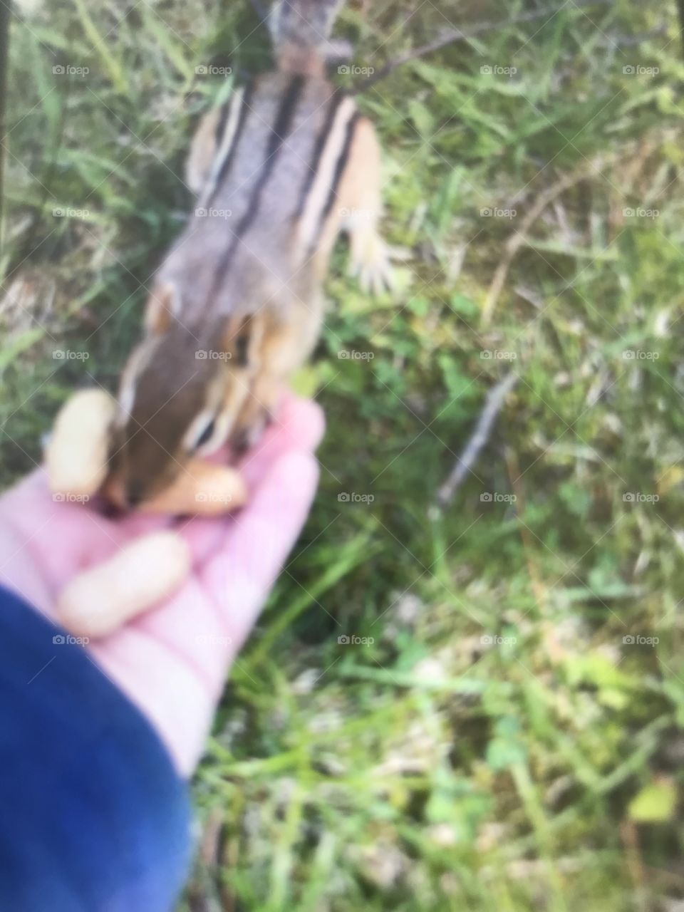 I got him eating out of my hand. 