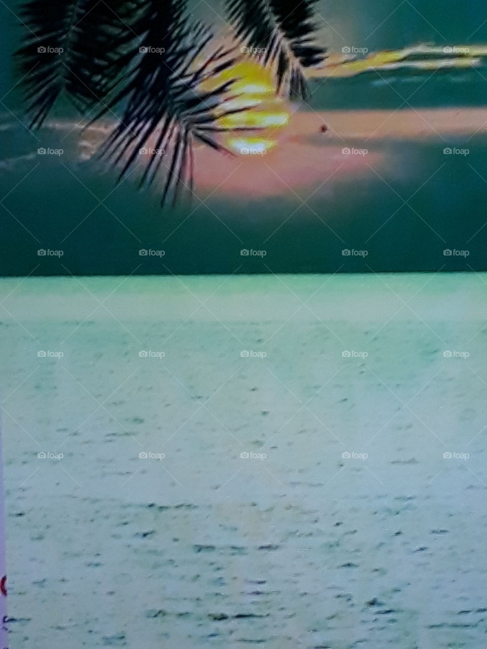 paisagem  lago com lindo por do sol