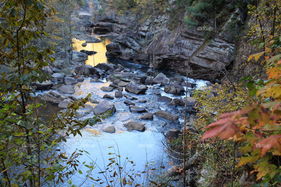 Flowing water in the river