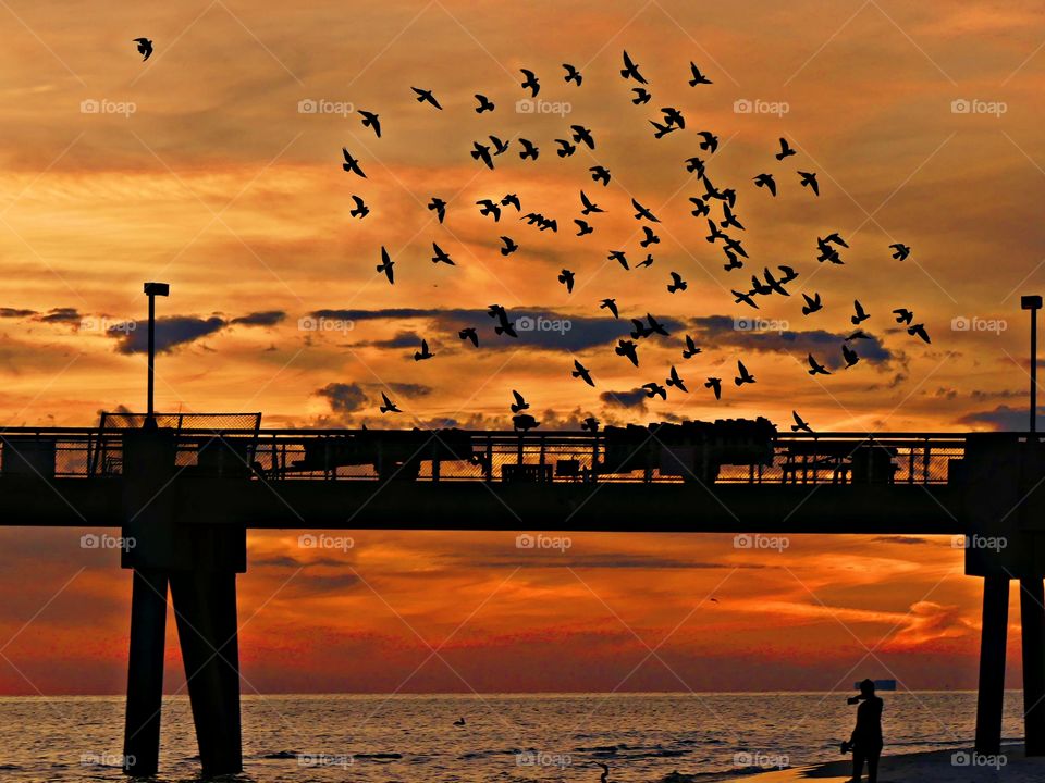 Birds grouped together flying over the fishing the fishing pier. What a wonderful way to convey drama, mystery, emotion and mood in a picture by posting a silhouette 