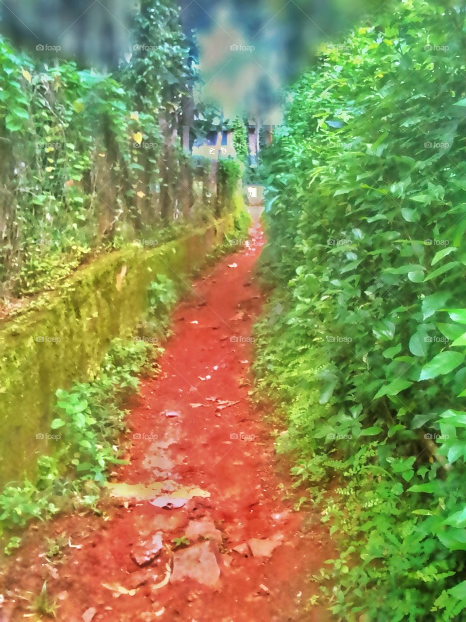 small wa to the house