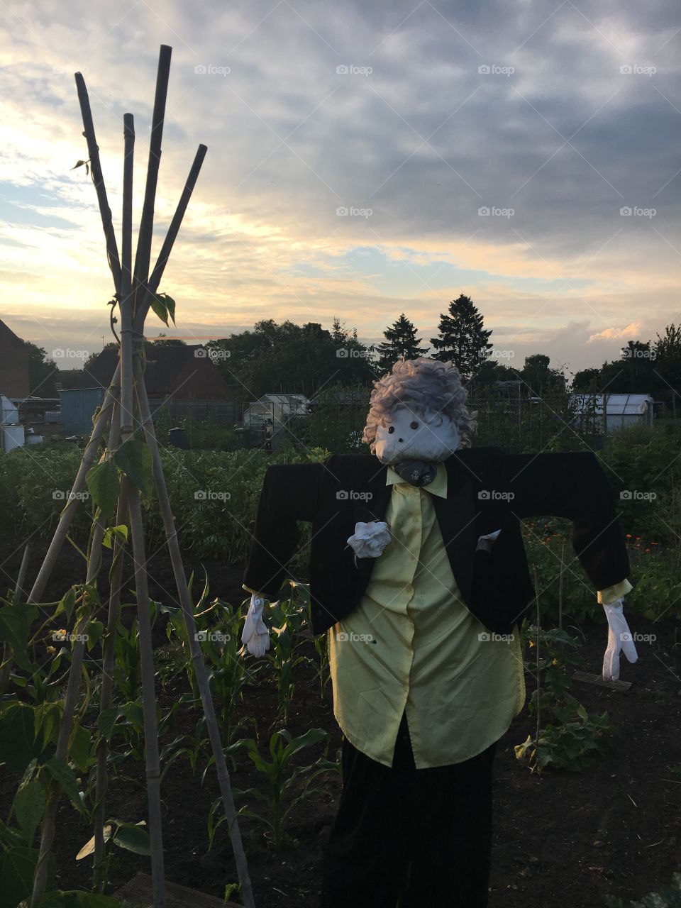 Lady scarecrow