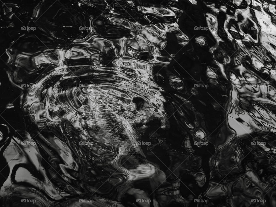 Fishes on a mountain lake, causing disturbances on the water surface. The black and white effect gave it a beautiful texture, almost abstract.