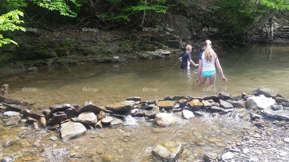 Creek swimming