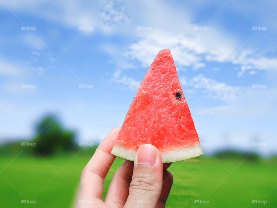 Fresh watermelon in hand
