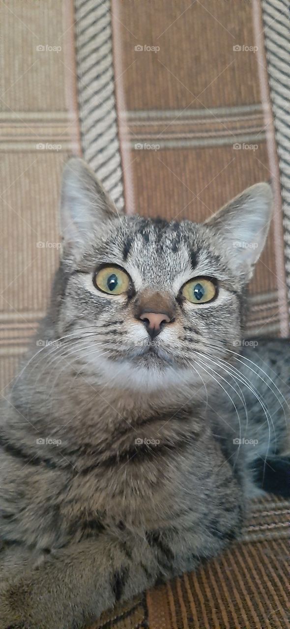 Неужели   всё  так   серьёзно!