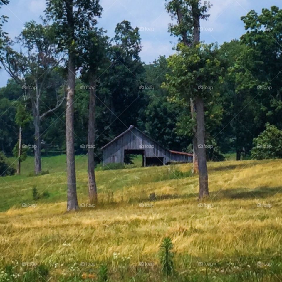 Barn in a field