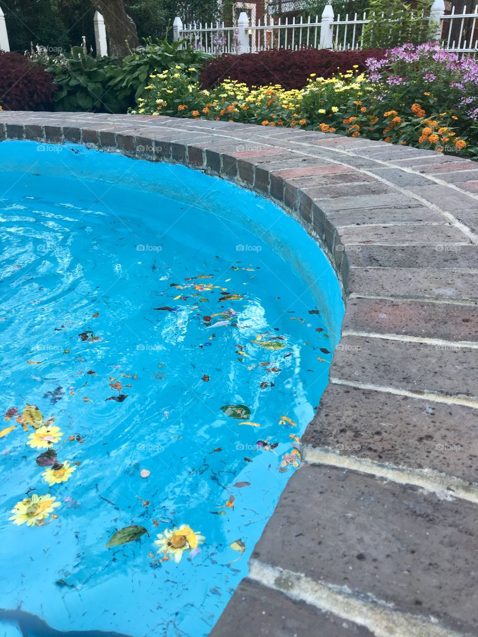 A blue stone fountain with flowers and leaves floating in the water 