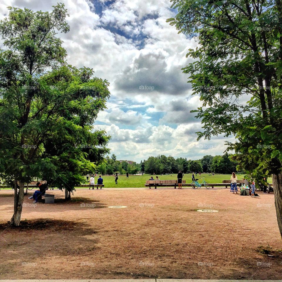 Tree, Park, Landscape, Nature, Wood