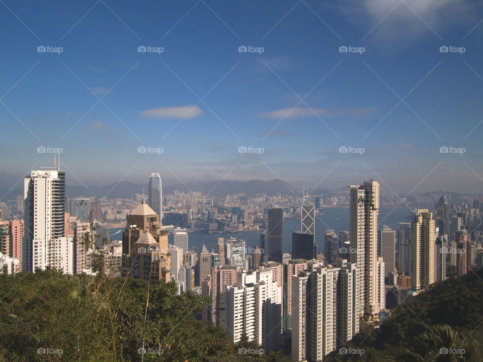 city china jungle concrete by botie2