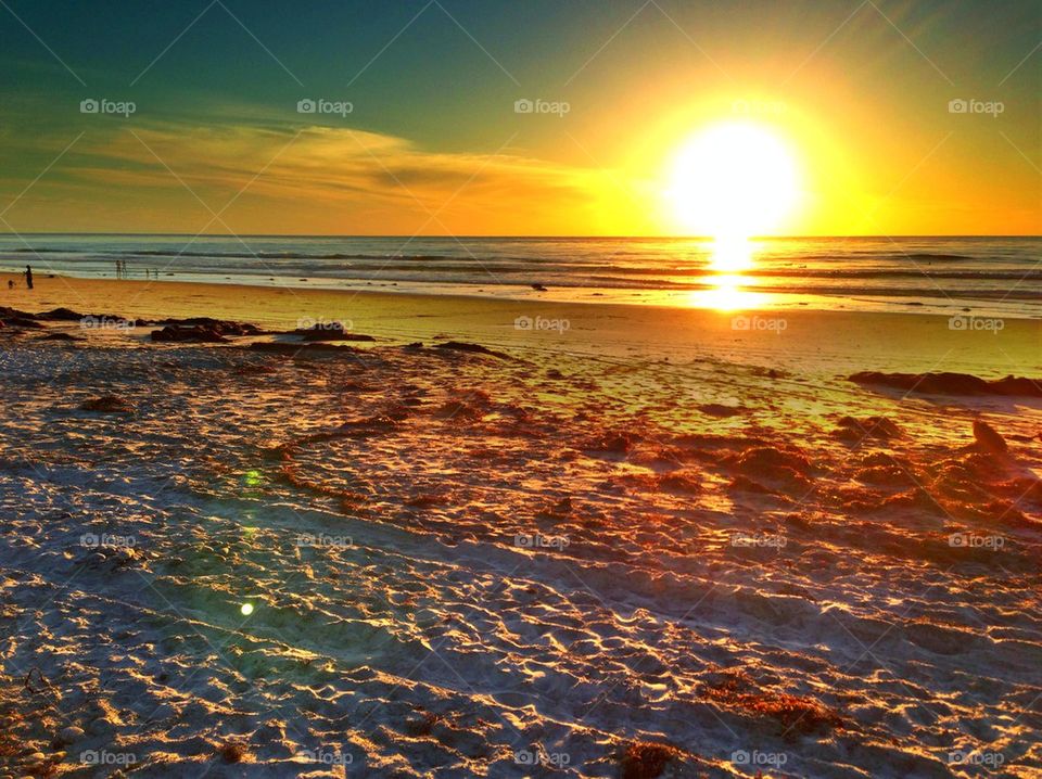 Golden Sunset on a Beach