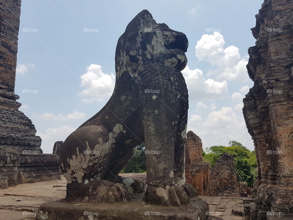 the lion's king in cambodia