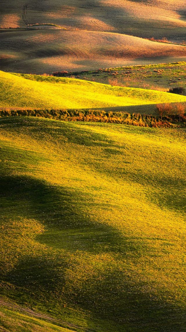Green is beeter