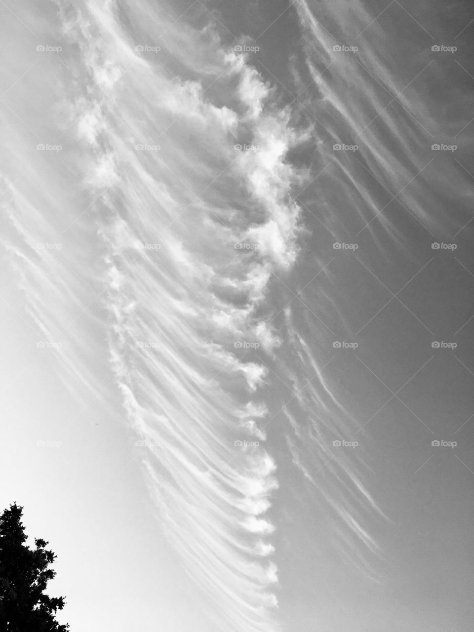 Clouds that look like ribs in the sky