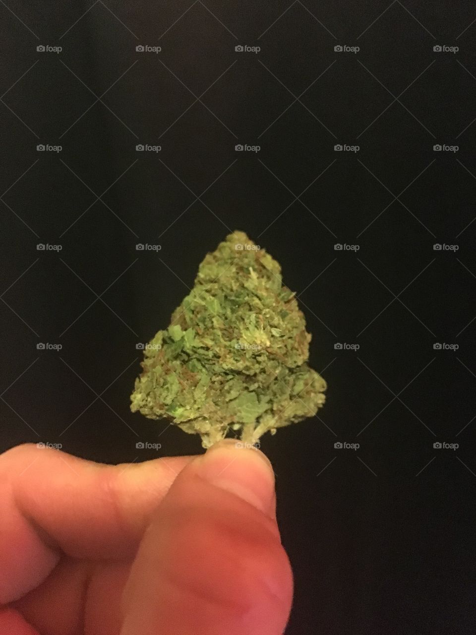 Marijuana, Cannabis, Bud, Dope, Leaf