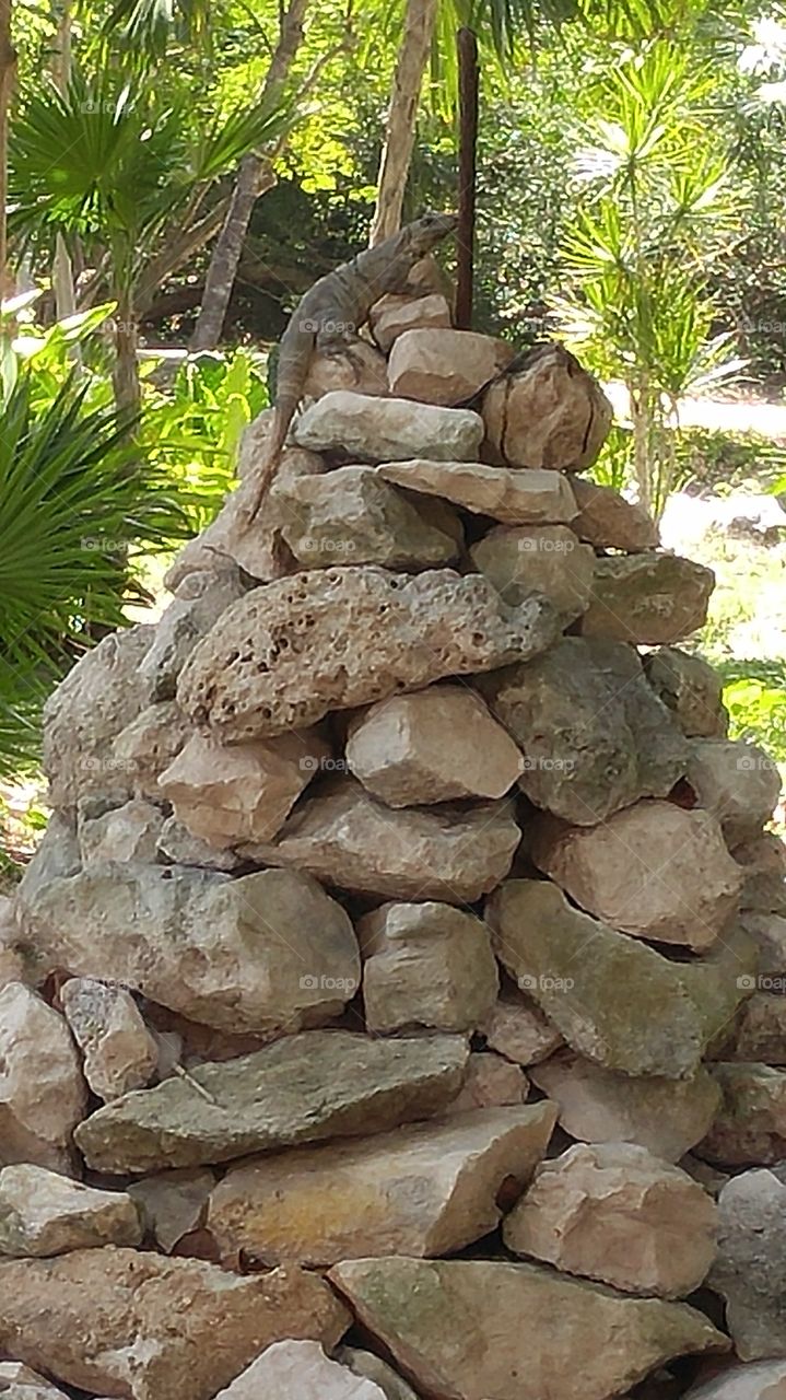 Stone Grave