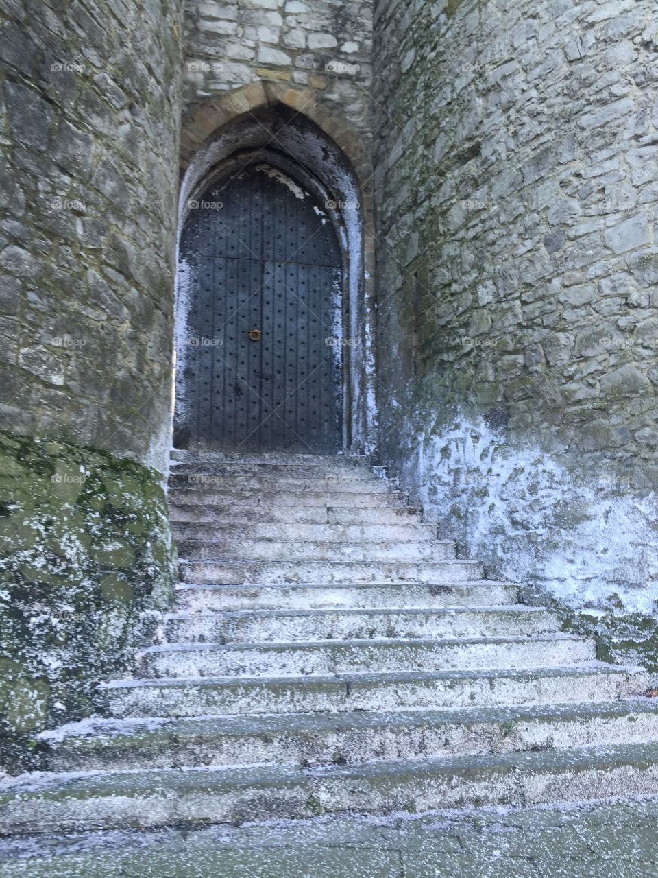 Castle door
