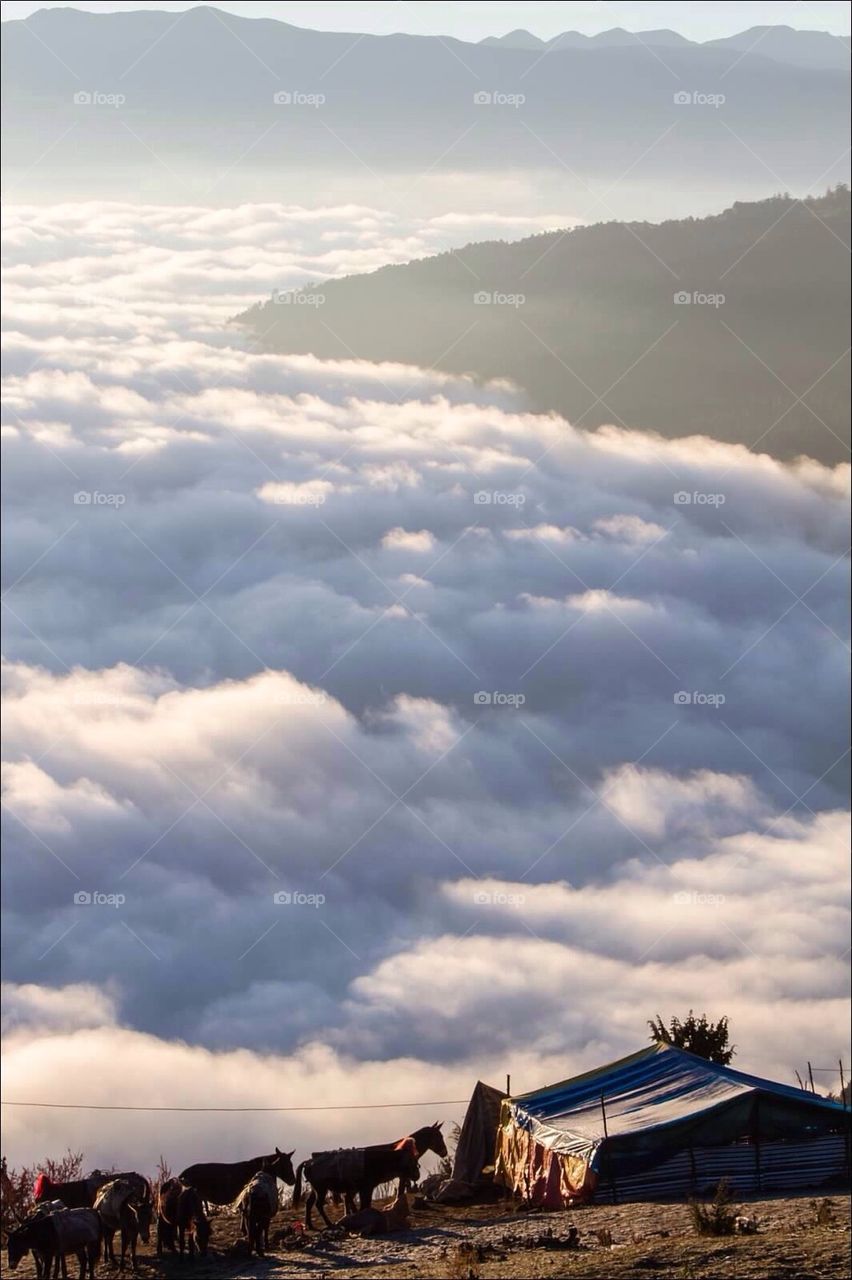 Camp above the clouds 