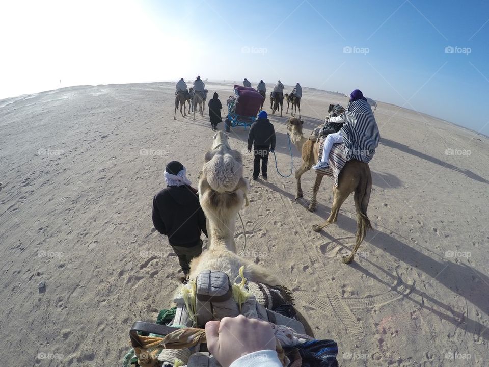 Camel ride in the Sahara desert in Tunisia