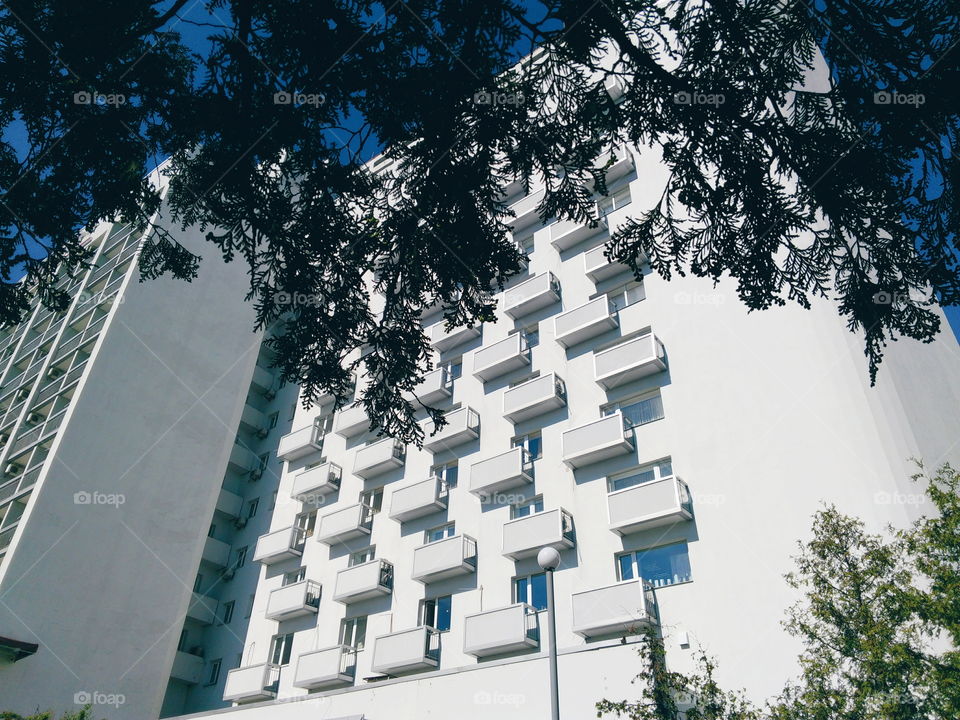 The building of the hotel, hidden by the branches of a tree, Kiev, Ukraine