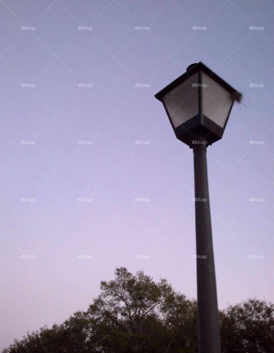 Lamp post with purple sky
