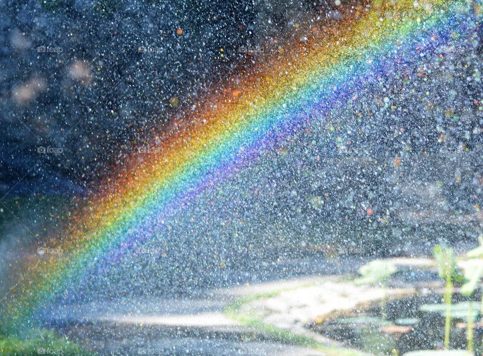 Rainbow water drops at a park.