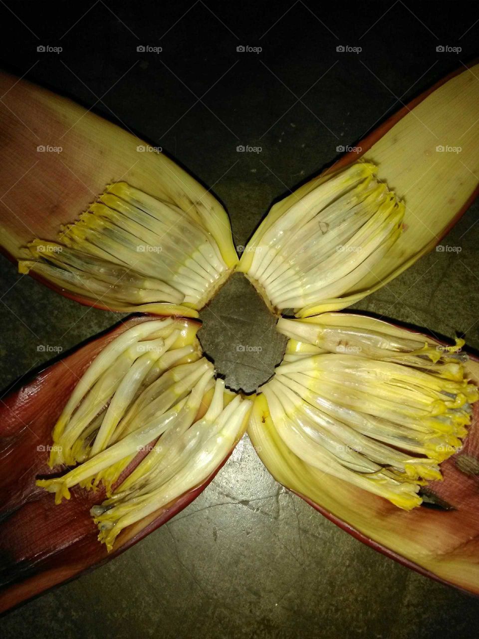 banana Flower