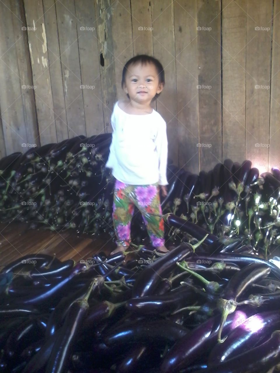 Baby and the Eggplant