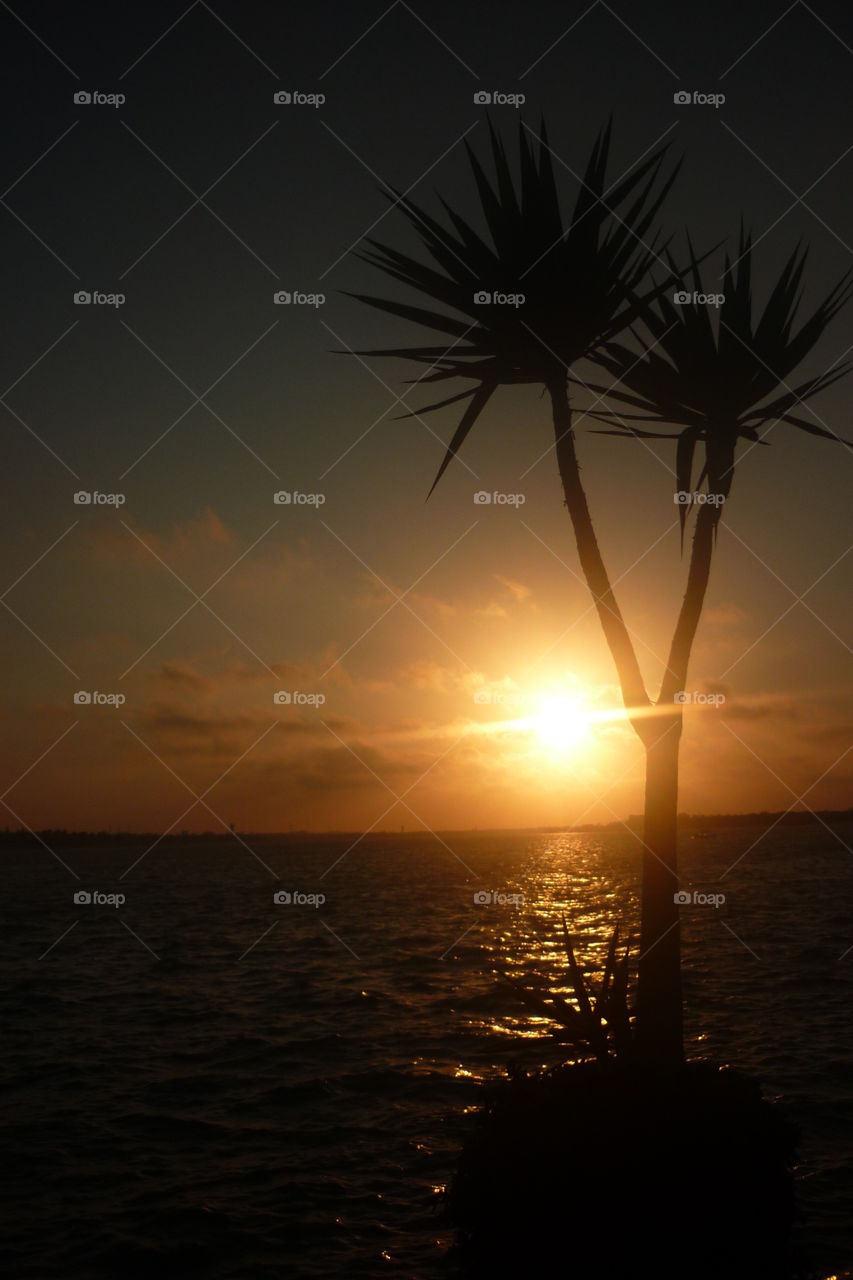 Sunset at the beach