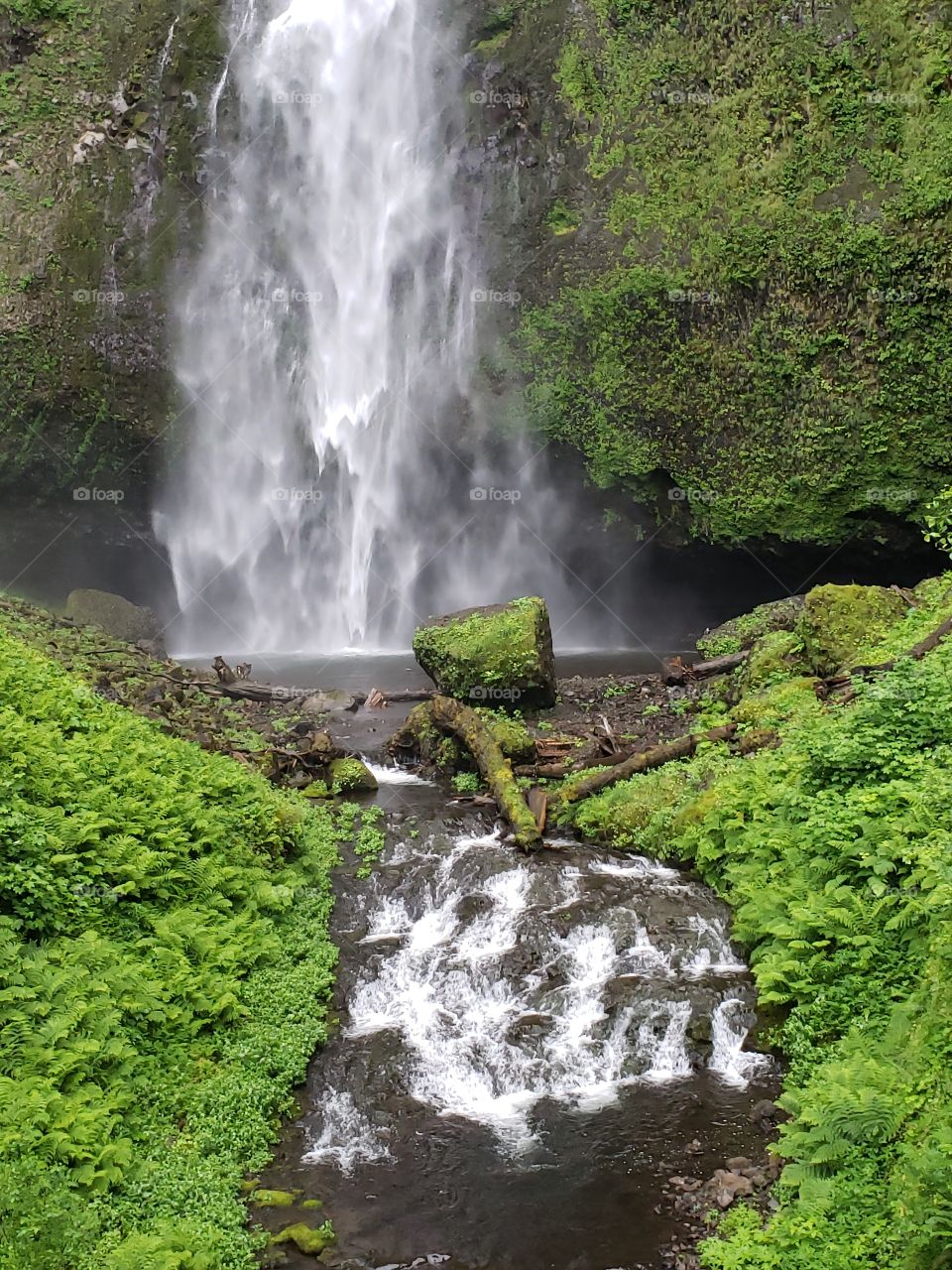 Multnomah Falls waterfall Oregon