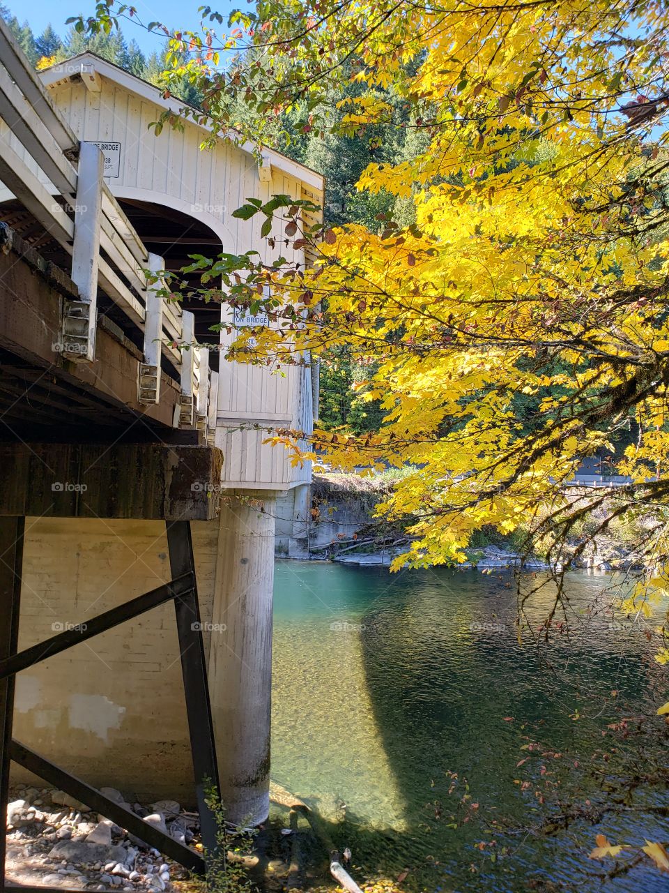 The old covered Goodpasture Bridge built in 1938 near Vida in Western Oregon on a sunny autumn day with lots of fall color around it.