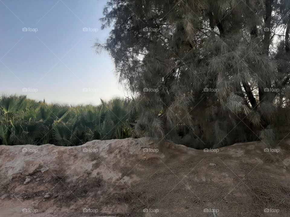 Please make me happy, I am poor, I need your help with support