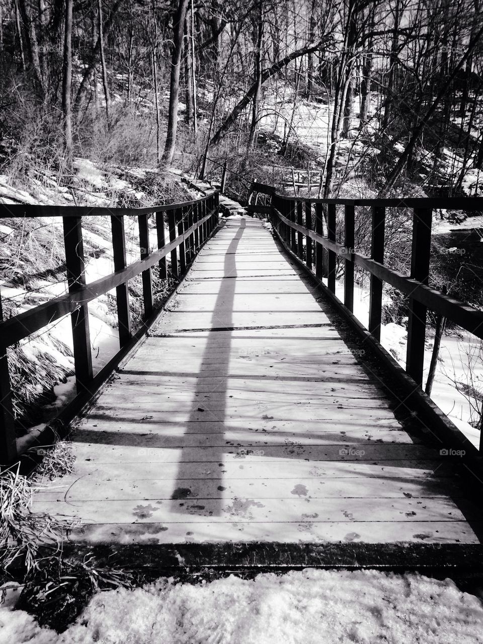 Take a Walk on the Wildside