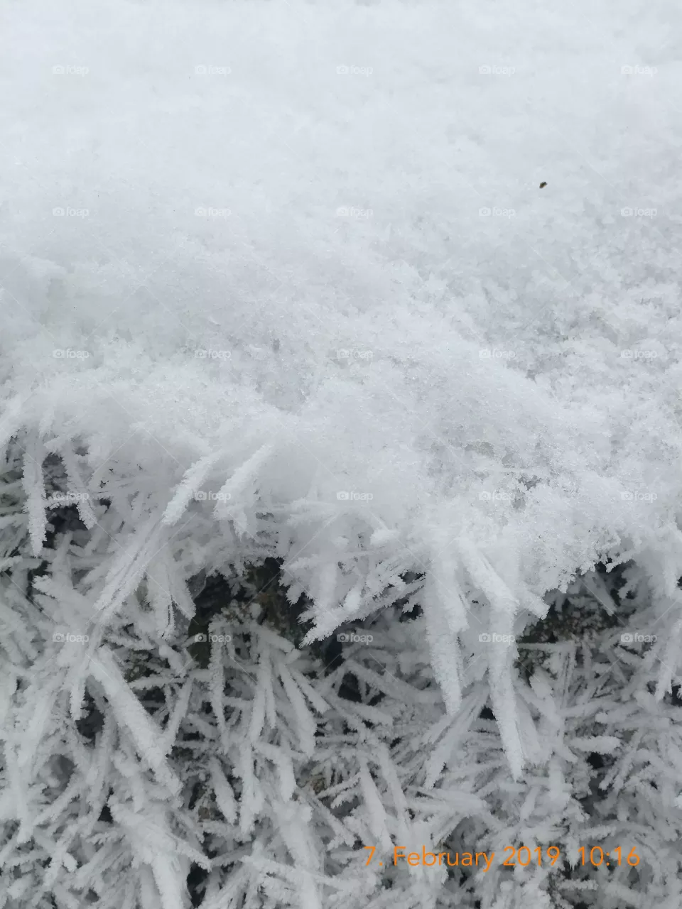 White,winter season….