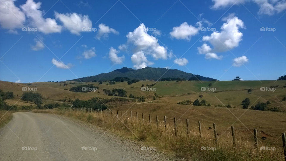 New Zealand Countryside. Raglan, NZ. February 2015.