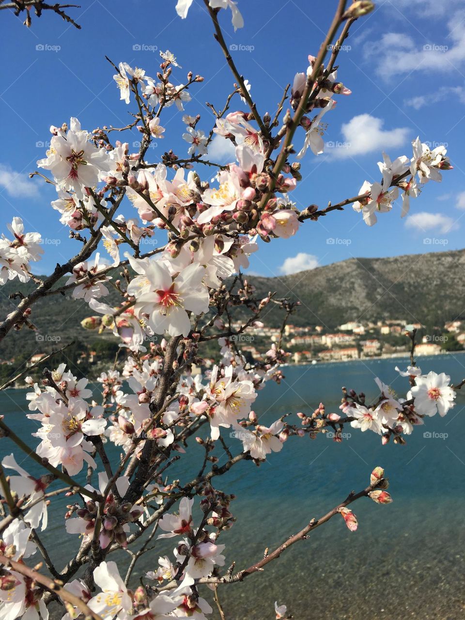 Spring in Croatia 