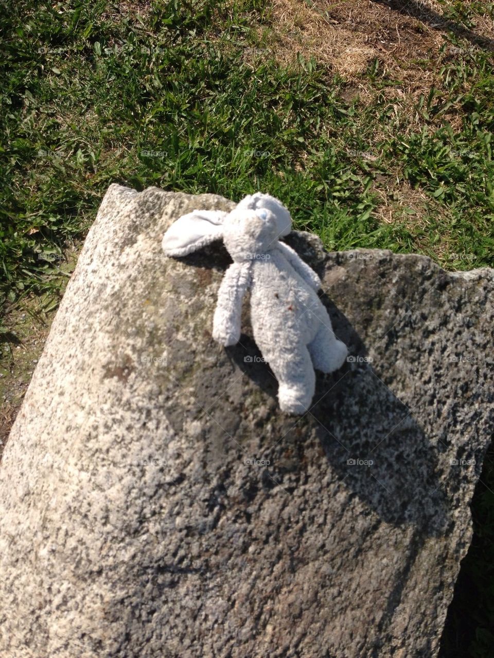 Cuddly toy laying on a stone