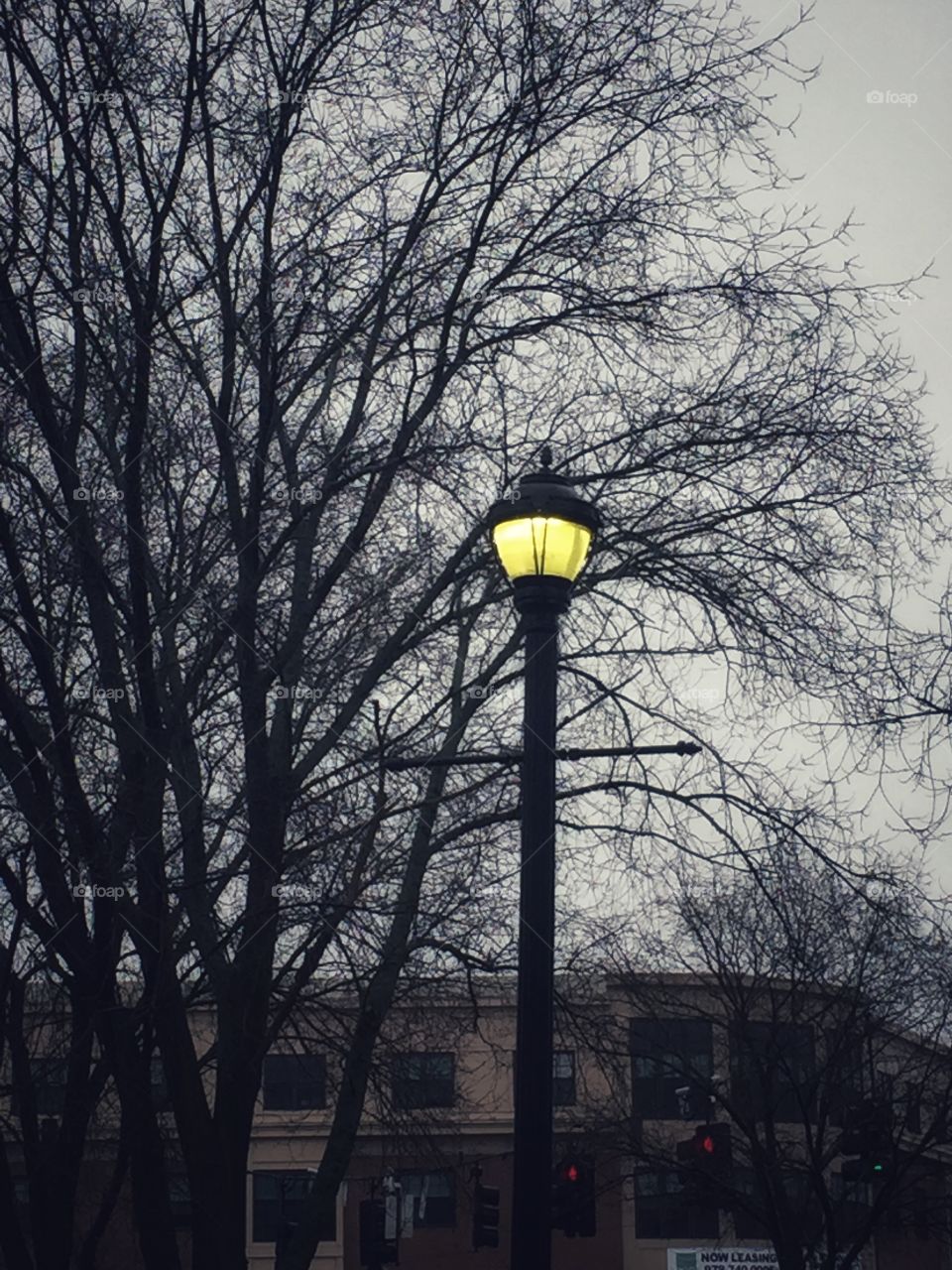A lamp post sits in front of a leafless tree in the morning of a winters day. The lamp glows yellow. It is the most colorful thing in the picture.