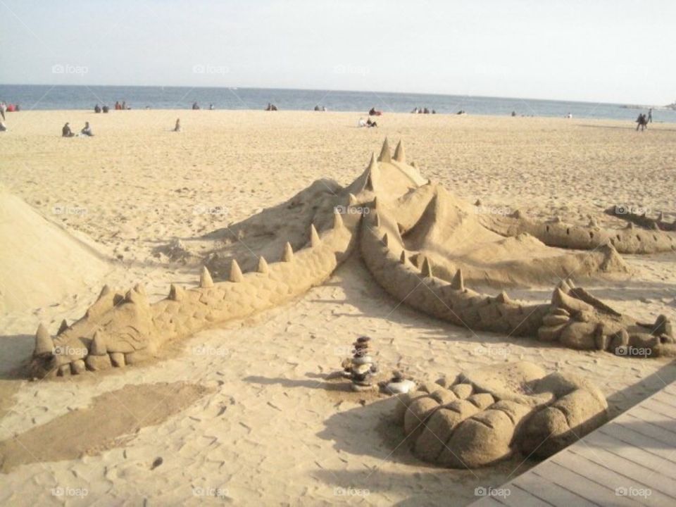 Sand dragons !