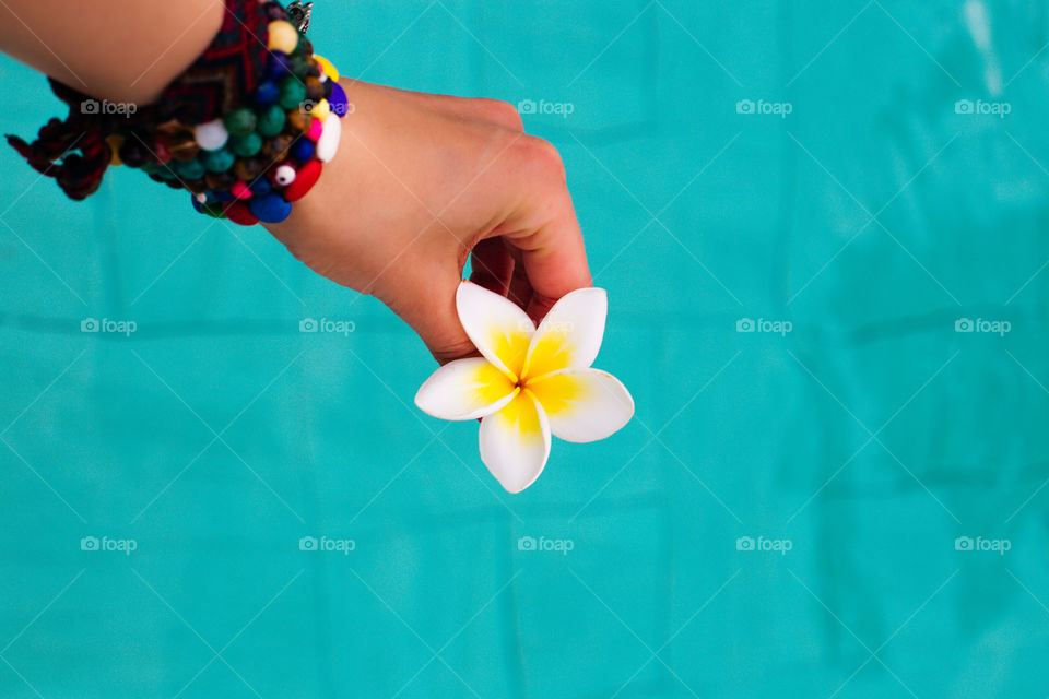 Tropical flower poolside 