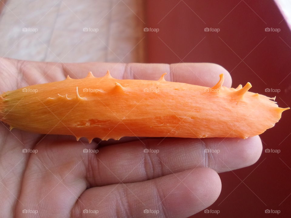 Carrot core